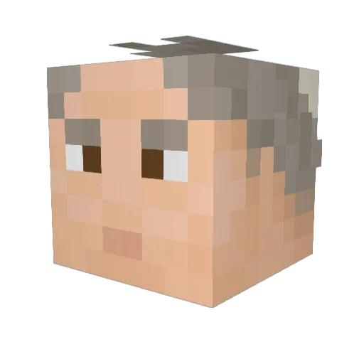 chicken_nuggs69 Minecraft avatar head, 3D render