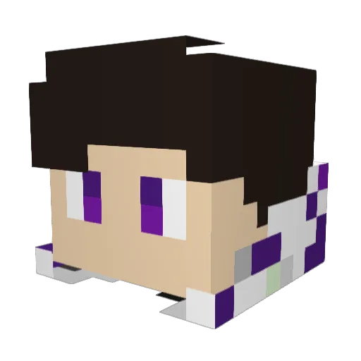 chickenbananas8 Minecraft avatar head, 3D render