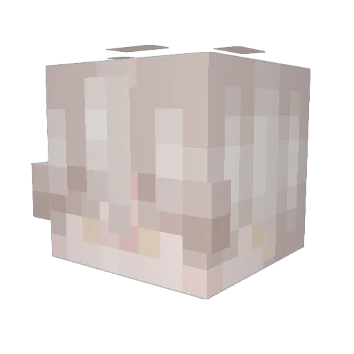chickenboom4573 Minecraft avatar head, 3D render
