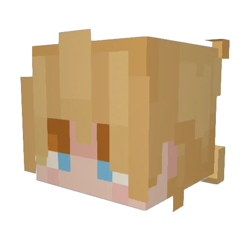 chickenbutt42069 Minecraft avatar head, 3D render