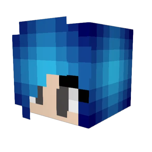 chickendip06 Minecraft avatar head, 3D render