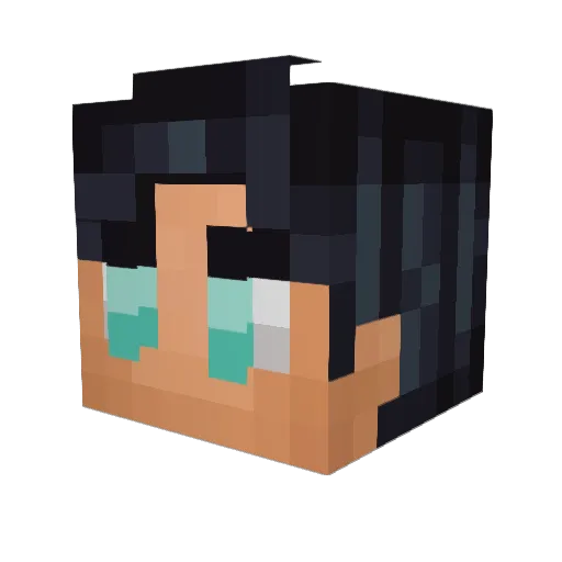 chickendog907 Minecraft avatar head, 3D render