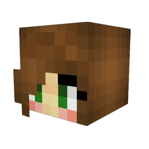 chickenfingerz Minecraft avatar head, 3D render