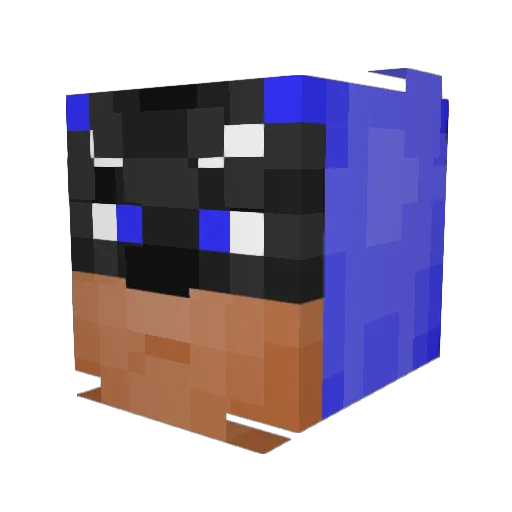chickenmaster310 Minecraft avatar head, 3D render