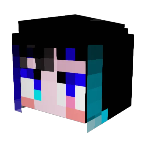 chickennanban06 Minecraft avatar head, 3D render