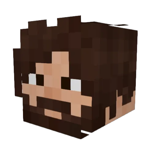 chickennuggetlol Minecraft avatar head, 3D render