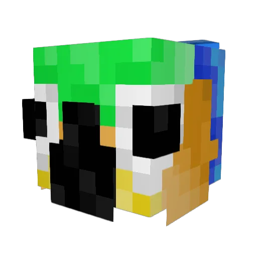chickensolid59 Minecraft avatar head, 3D render