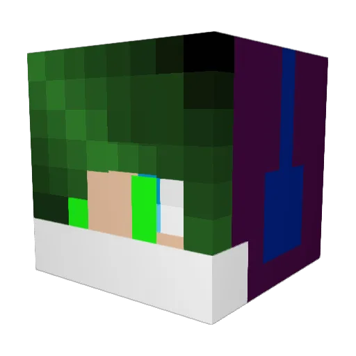chickensoupgames Minecraft avatar head, 3D render