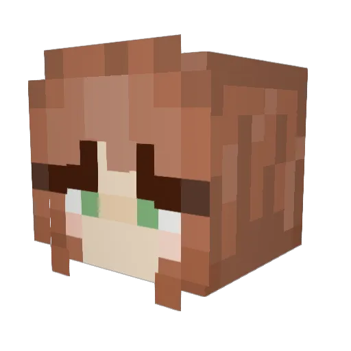 chickensrg8 Minecraft avatar head, 3D render