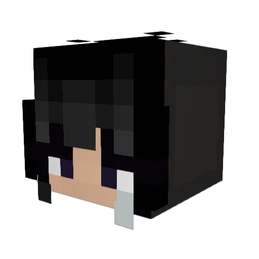 chickenuggat Minecraft avatar head, 3D render