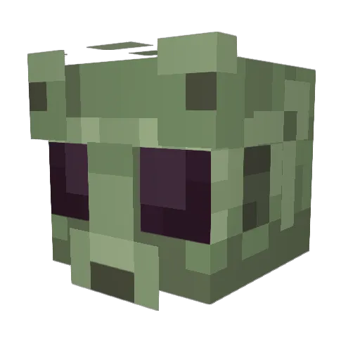 chickenwaterman Minecraft avatar head, 3D render