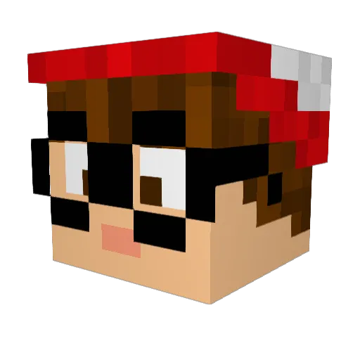 chickenwing11111 Minecraft avatar head, 3D render