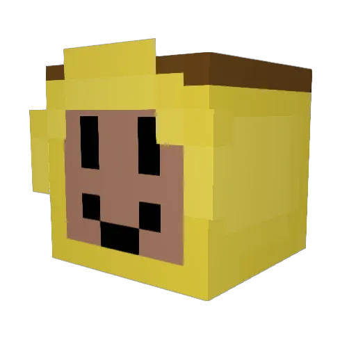 chickey76 Minecraft avatar head, 3D render