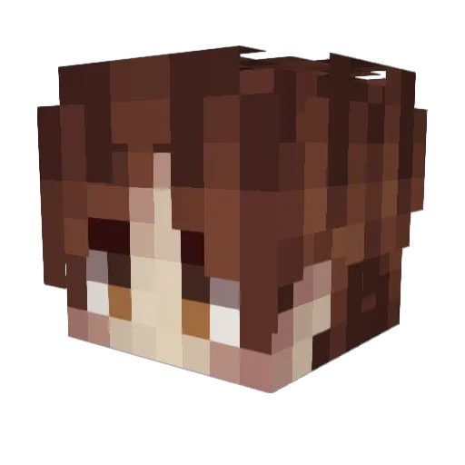 chico_vegano Minecraft avatar head, 3D render