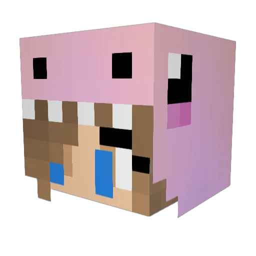 chicolama2006 Minecraft avatar head, 3D render