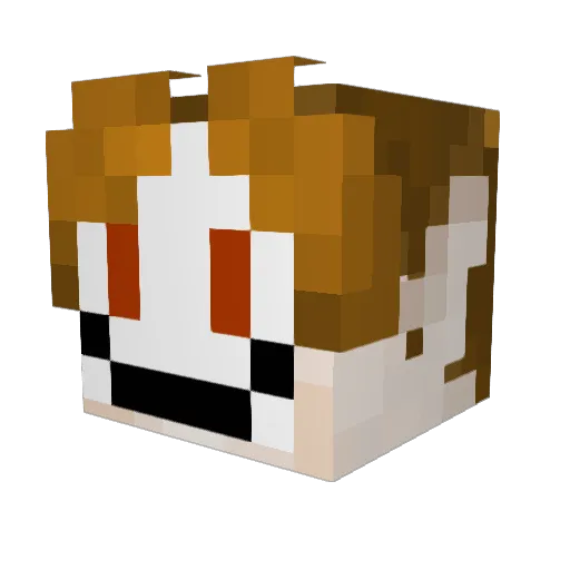 chicovalla Minecraft avatar head, 3D render