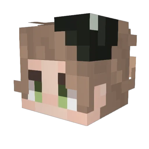 chieee567 Minecraft avatar head, 3D render