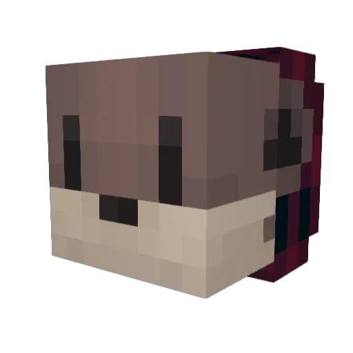 chief_otterboy Minecraft avatar head, 3D render