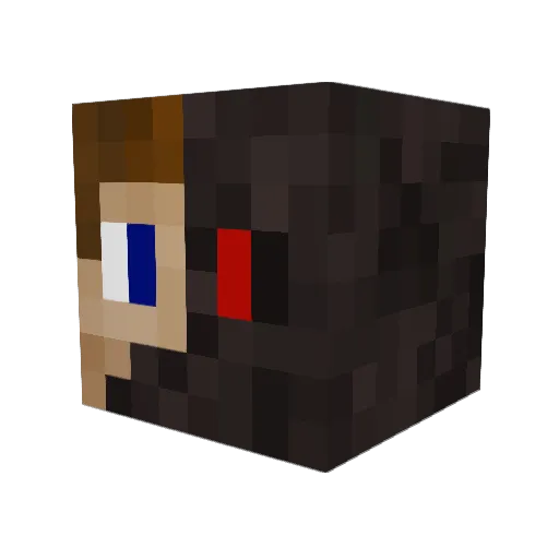 chiggets_ Minecraft avatar head, 3D render