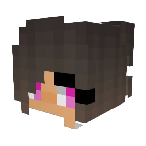 chigneman Minecraft avatar head, 3D render