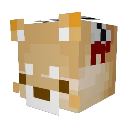 chiiichiii Minecraft avatar head, 3D render