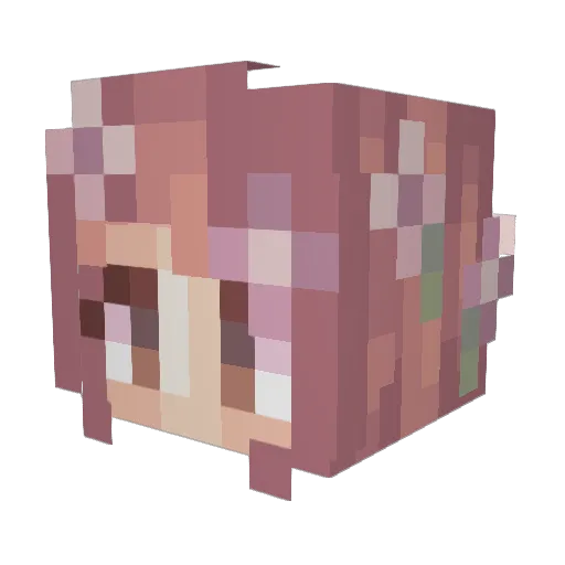 chikapoco Minecraft avatar head, 3D render