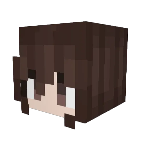 chilifan5 Minecraft avatar head, 3D render