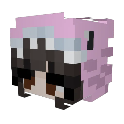 chilindrina4 Minecraft avatar head, 3D render