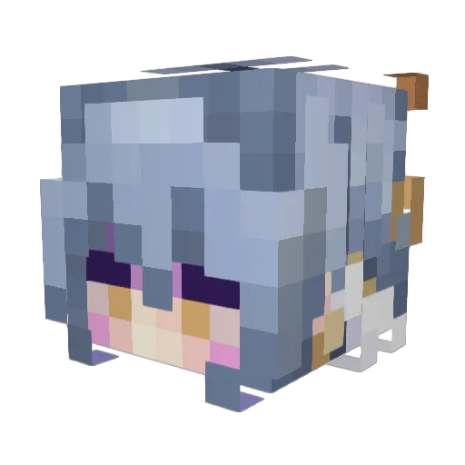 chill_dylpickle Minecraft avatar head, 3D render