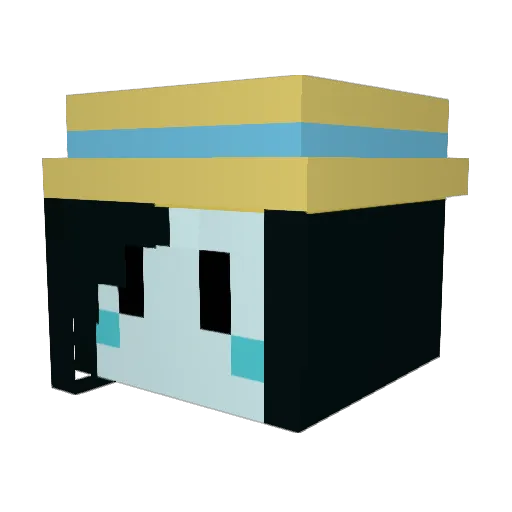 chill_rang00n Minecraft avatar head, 3D render