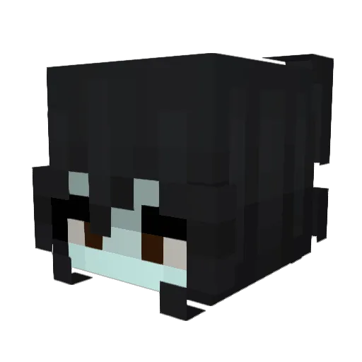 chill_witch Minecraft avatar head, 3D render