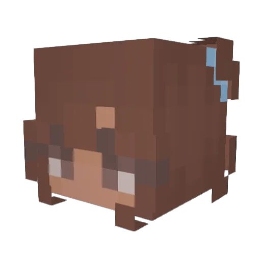 chillgod730 Minecraft avatar head, 3D render