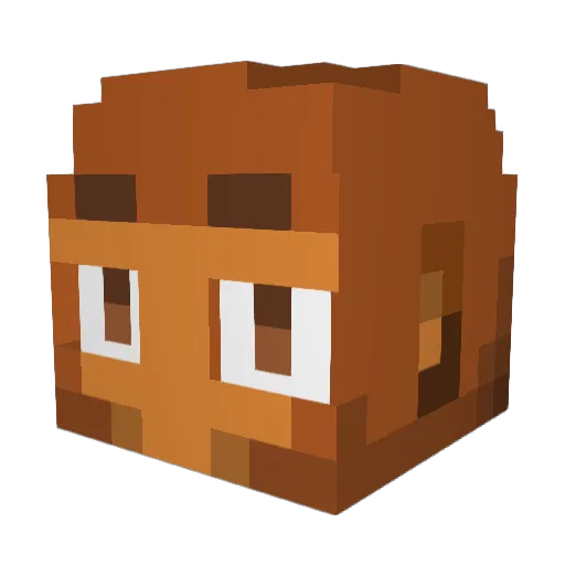 chilli1574 Minecraft avatar head, 3D render