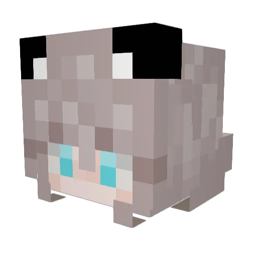 chilli_lilly Minecraft avatar head, 3D render