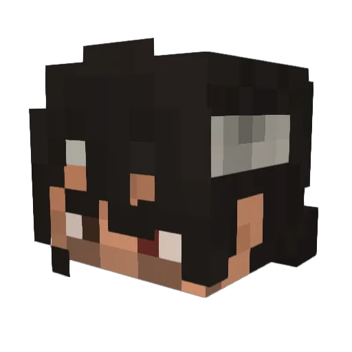 chillinkidrocks Minecraft avatar head, 3D render