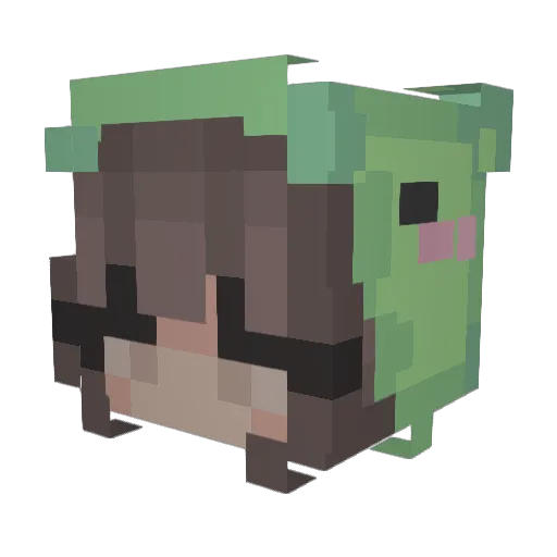 chillwjill Minecraft avatar head, 3D render