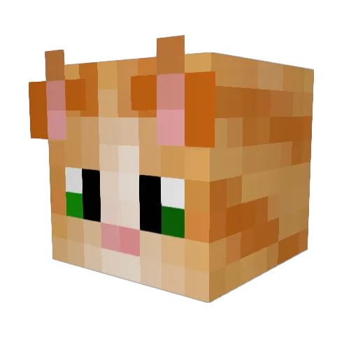 chilly1967 Minecraft avatar head, 3D render