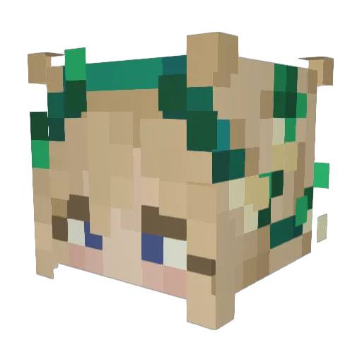 chilly_momma Minecraft avatar head, 3D render