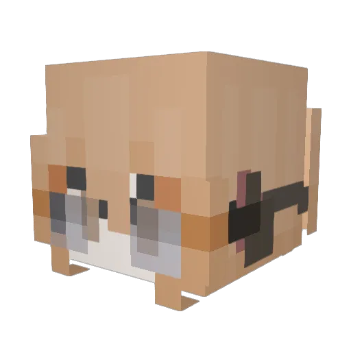chilvst Minecraft avatar head, 3D render