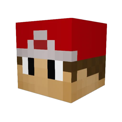 chimcharkid Minecraft avatar head, 3D render