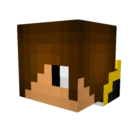 chimichanga35 Minecraft avatar head, 3D render