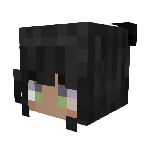 chimken6090 Minecraft avatar head, 3D render