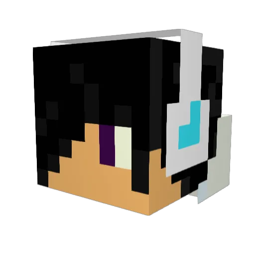 chimps_for_pimps Minecraft avatar head, 3D render