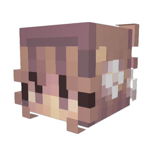 chinamca Minecraft avatar head, 3D render