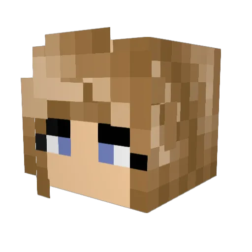 chinaselen7 Minecraft avatar head, 3D render