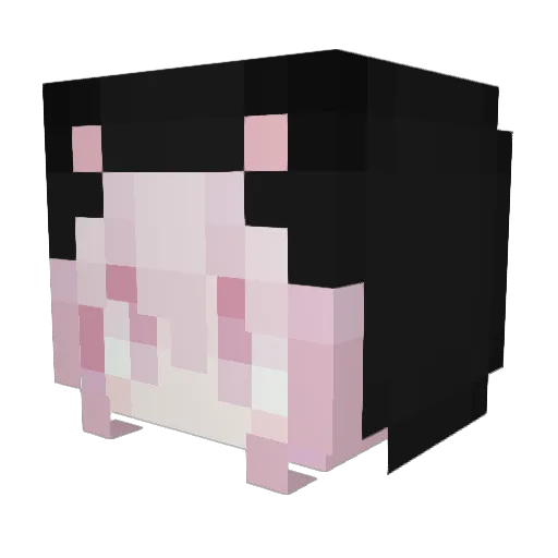 chinchillaMEOW Minecraft avatar head, 3D render