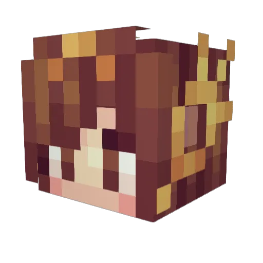 chinin11 Minecraft avatar head, 3D render