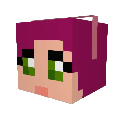 chipa2k6 Minecraft avatar head, 3D render