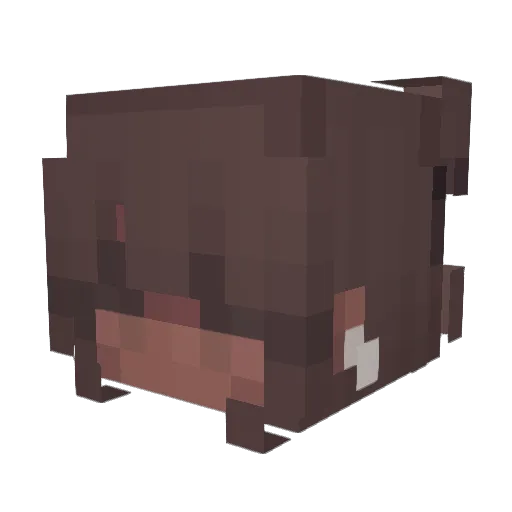 chipixie Minecraft avatar head, 3D render