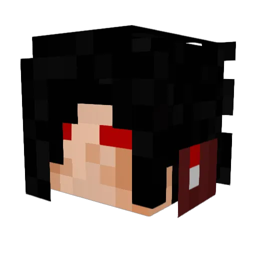 chipotleBowl Minecraft avatar head, 3D render